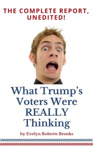 What Trump's Voters Were REALLY Thinking book cover